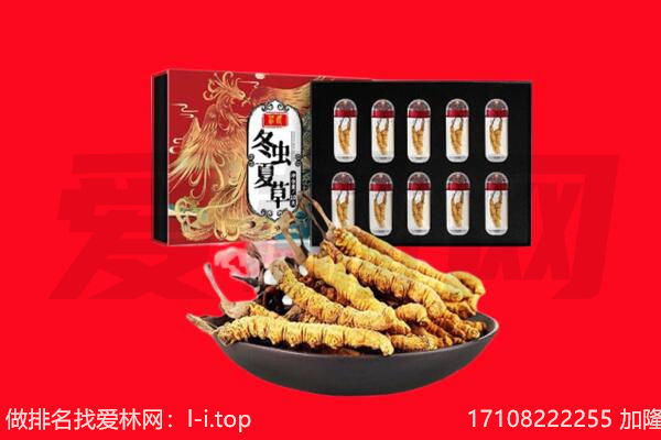 七里河区回收虫草.jpg